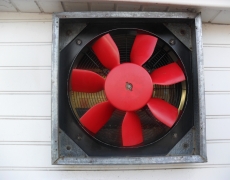 After Extraction Cleaning process