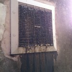 Before the cleaning process