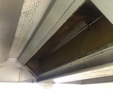 Before Canopy Cleaning process